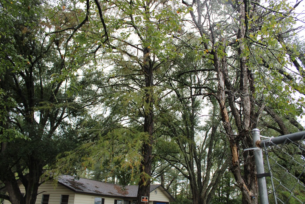22766 Property Photo 21