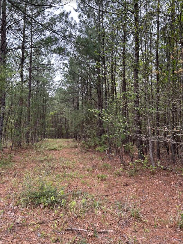 R12357 -lot 102 Fm 705 Property Photo 1