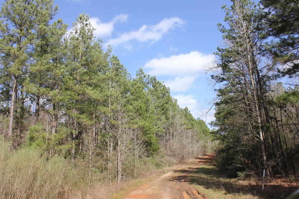 Pid 7331 Us Hwy 59 N Property Photo 1