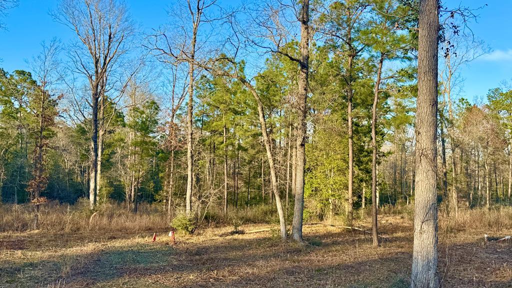 2165 Dorsey Road Property Photo 1