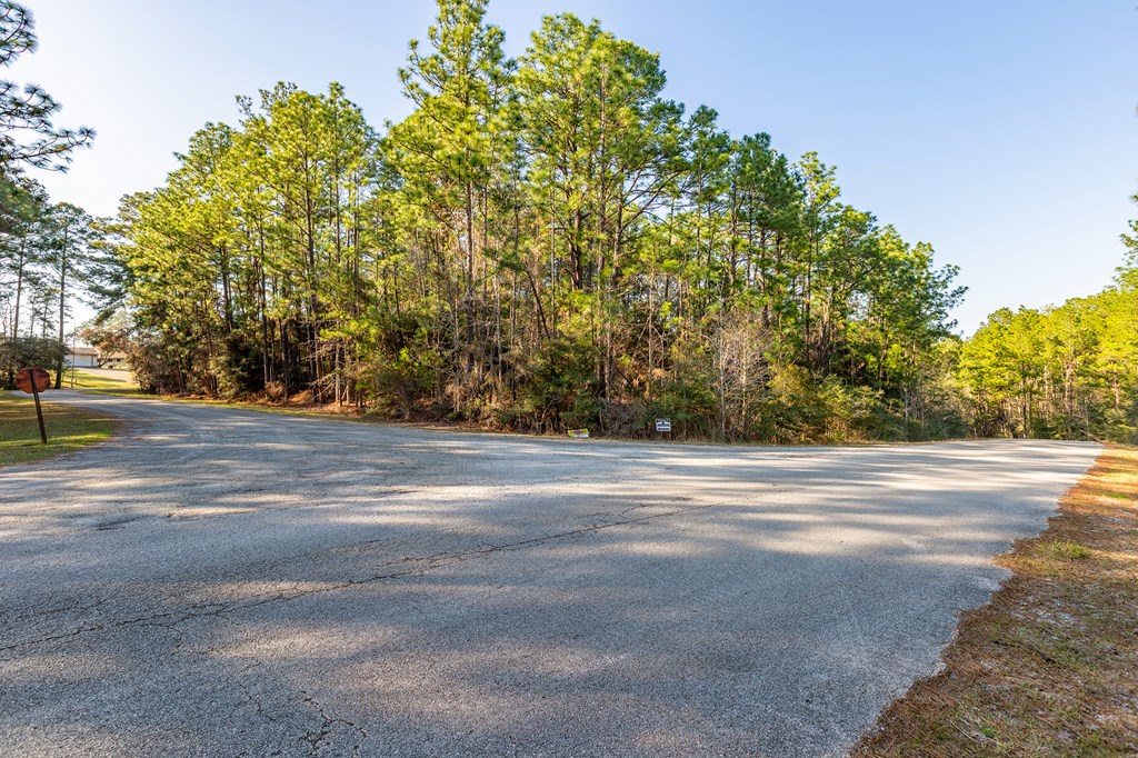 387 Masters Blvd Property Photo 2
