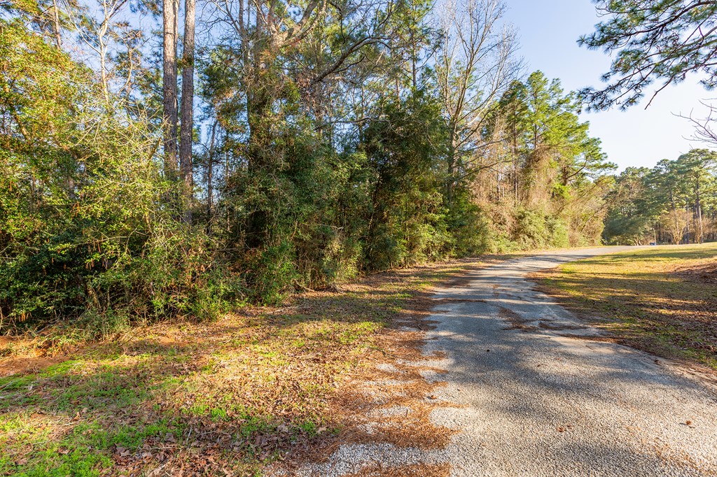 387 Masters Blvd Property Photo 4