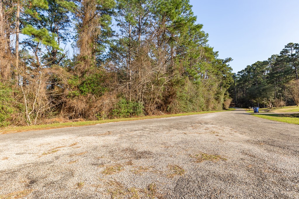 387 Masters Blvd Property Photo 6