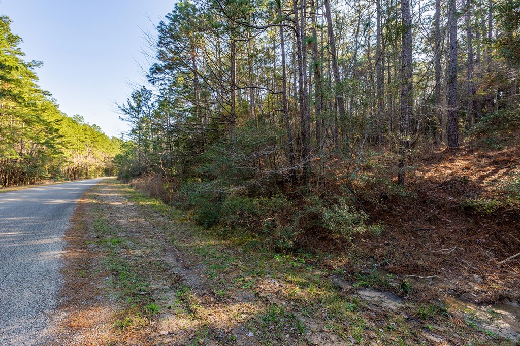387 Masters Blvd Property Photo 10