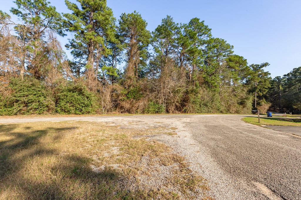 387 Masters Blvd Property Photo 11