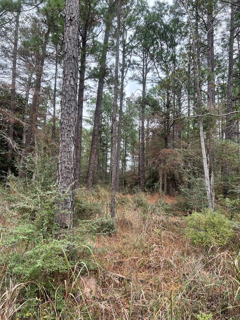 34855-34856 Tamarack Drive Property Photo 1