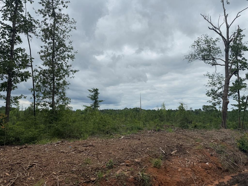 Tbd Fm 777 Property Photo 1