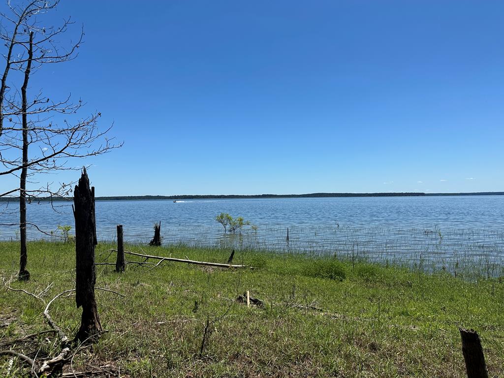 R12357 Lot 117 Fm 705 Property Photo 1