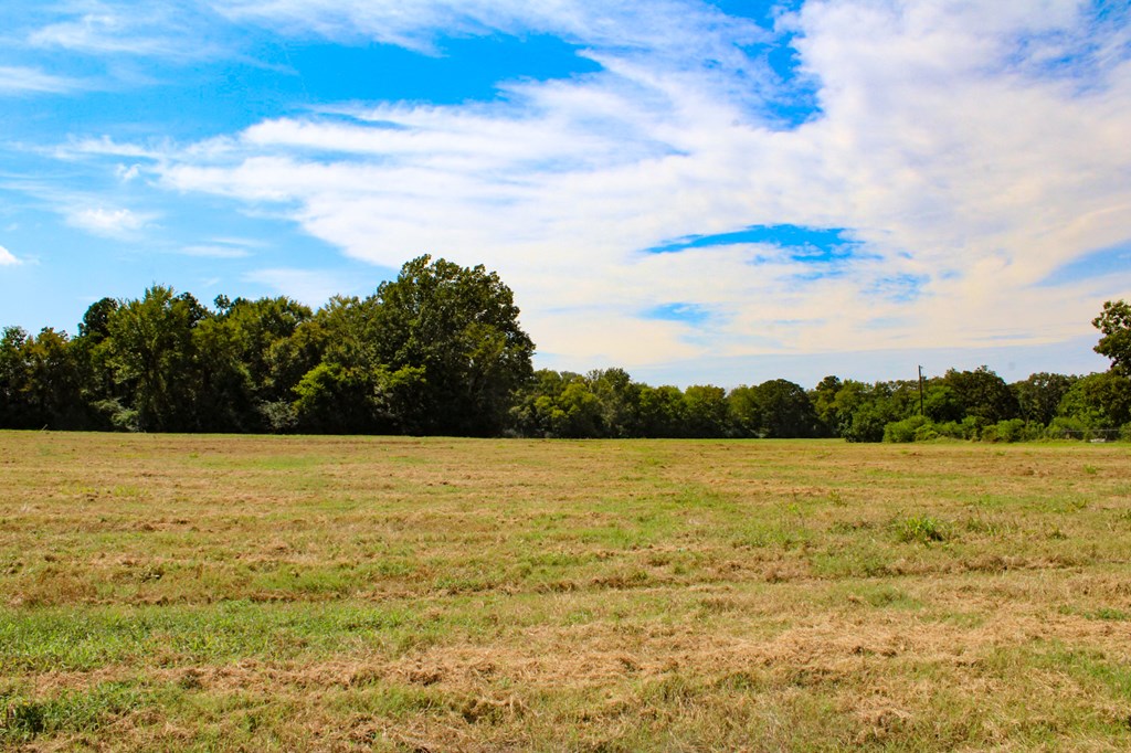2000 Paul Avenue Property Photo 9