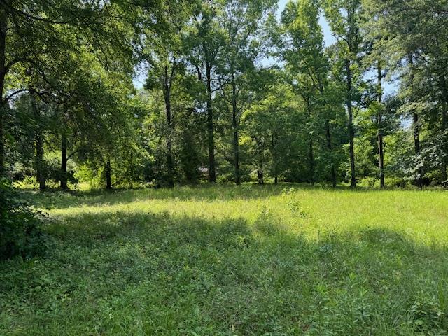 Lot 3 Hunterwood Drive Property Photo 1