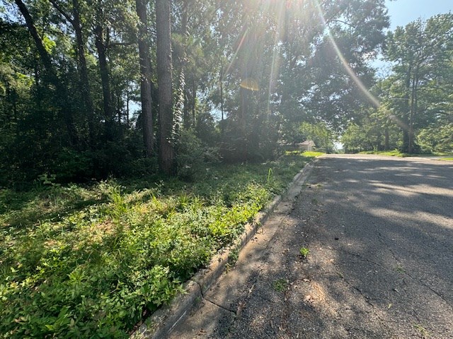 Lot 41 Quail Ridge Property Photo 3
