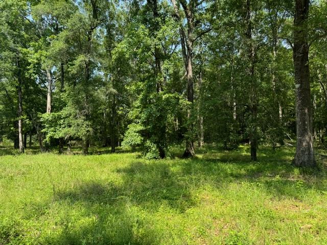 Lot 77 Hunterwood Drive Property Photo 1