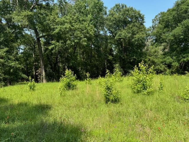Lot 79 Hunterwood Drive Property Photo 1