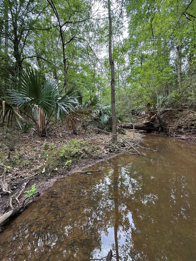 Pid: 20394 Fm 770 Property Photo 1