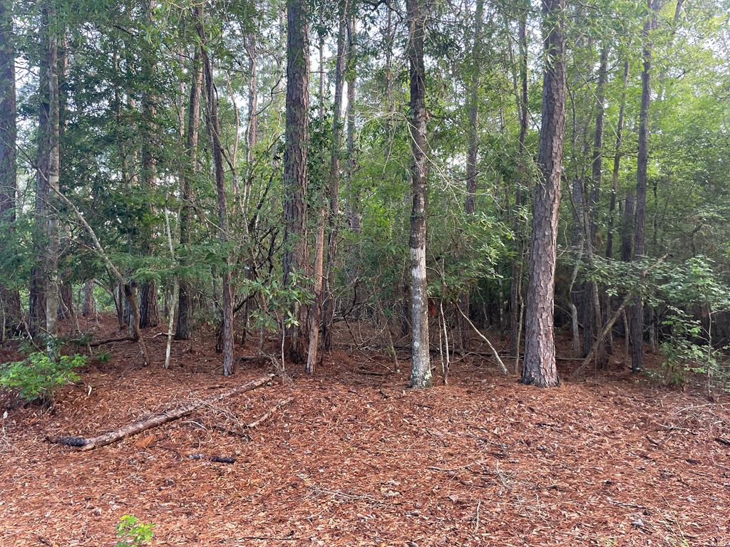 Lot 2 Buckeye Property Photo 1