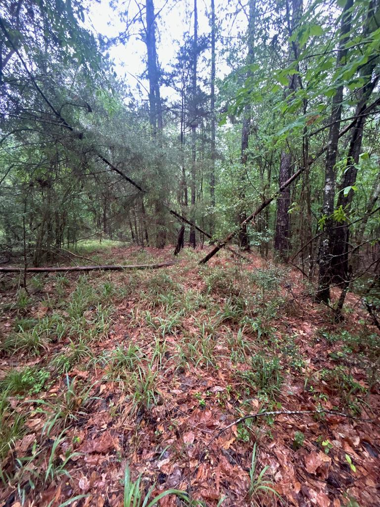 885 County Road 357 Property Photo 2