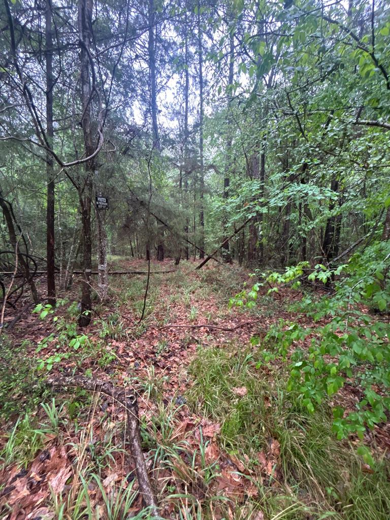 885 County Road 357 Property Photo 5