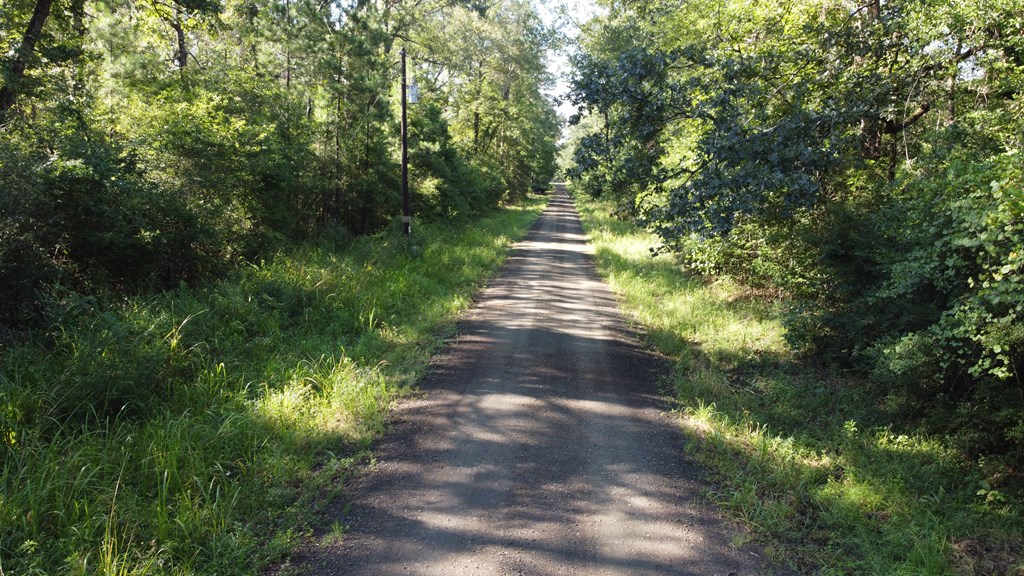 359 Mallard Property Photo 3