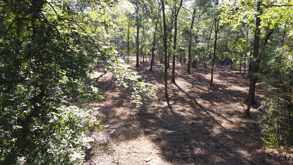 359 Mallard Property Photo 4