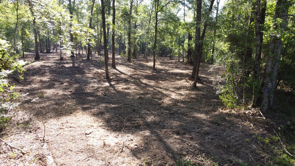 359 Mallard Property Photo 5