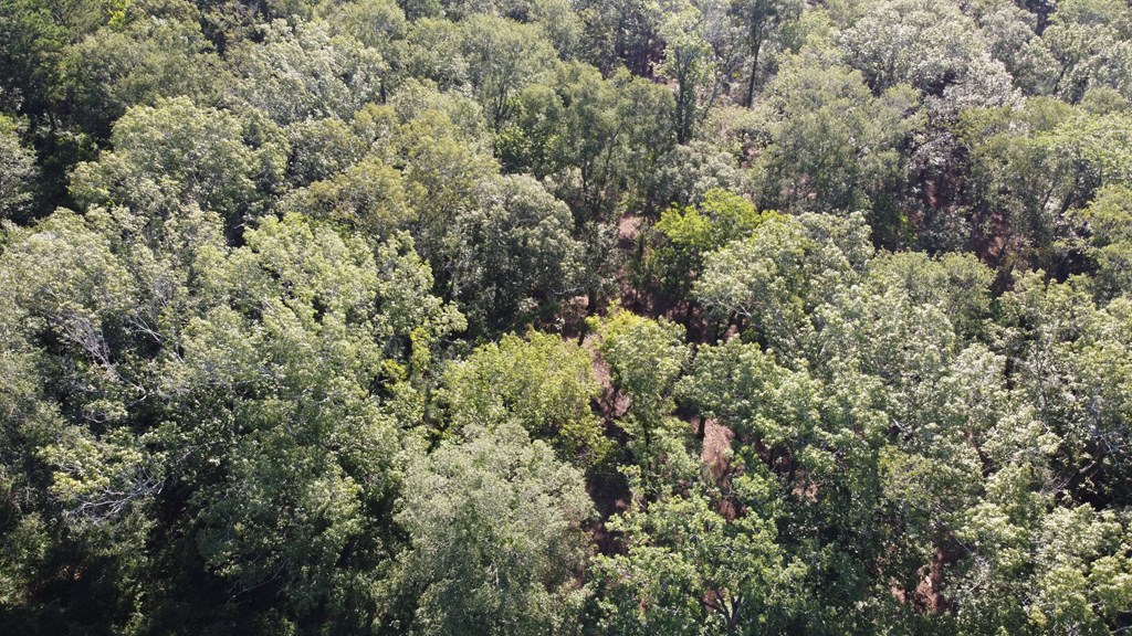 359 Mallard Property Photo 6