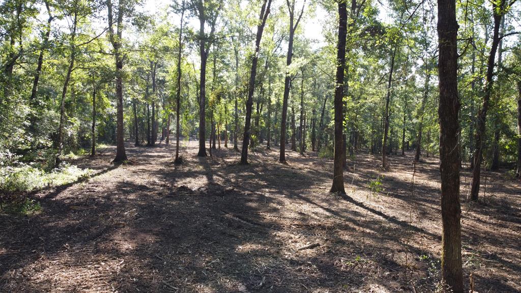 359 Mallard Property Photo 7