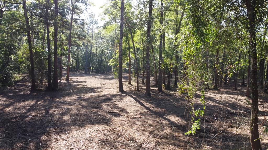 359 Mallard Property Photo 8
