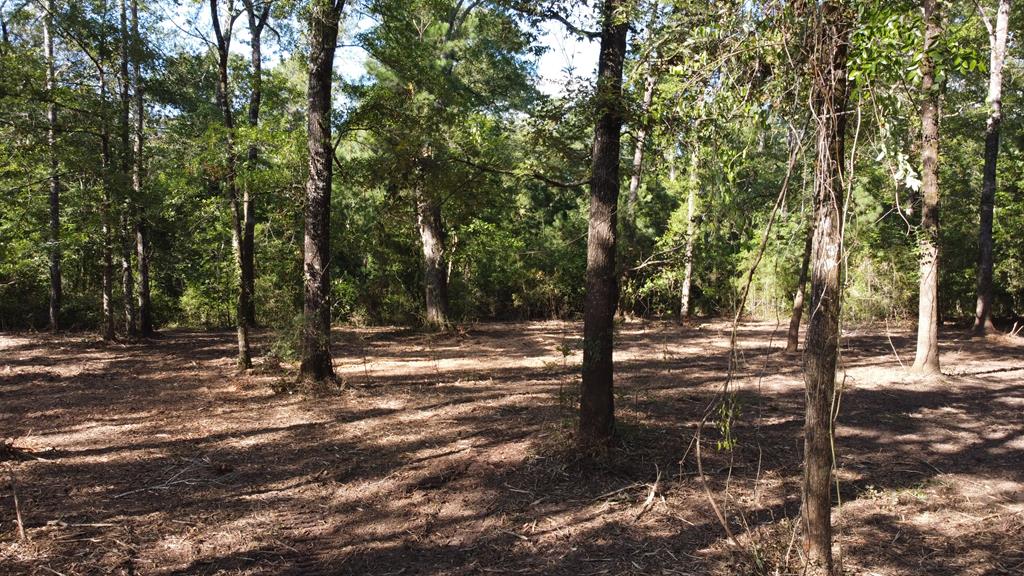 359 Mallard Property Photo 9