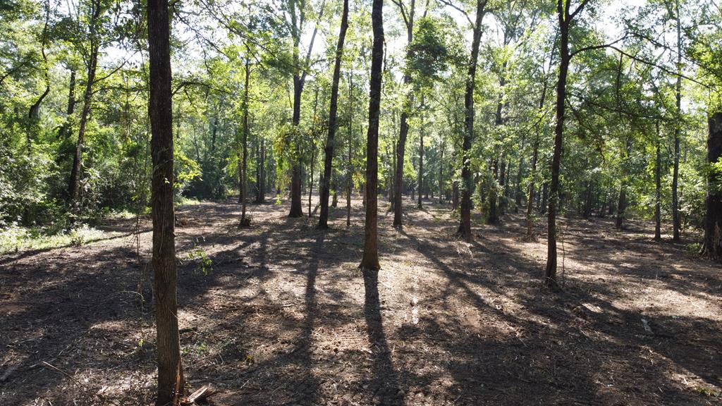 359 Mallard Property Photo 10