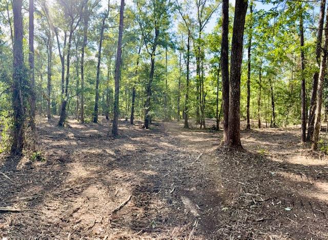 359 Mallard Property Photo 13