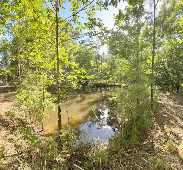 359 Mallard Property Photo 16