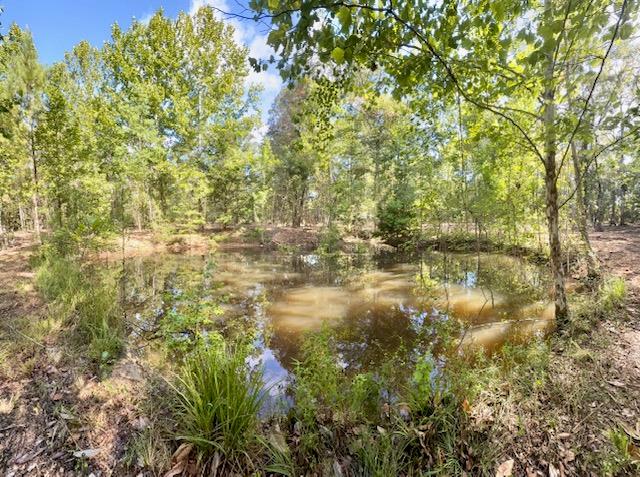 359 Mallard Property Photo 17