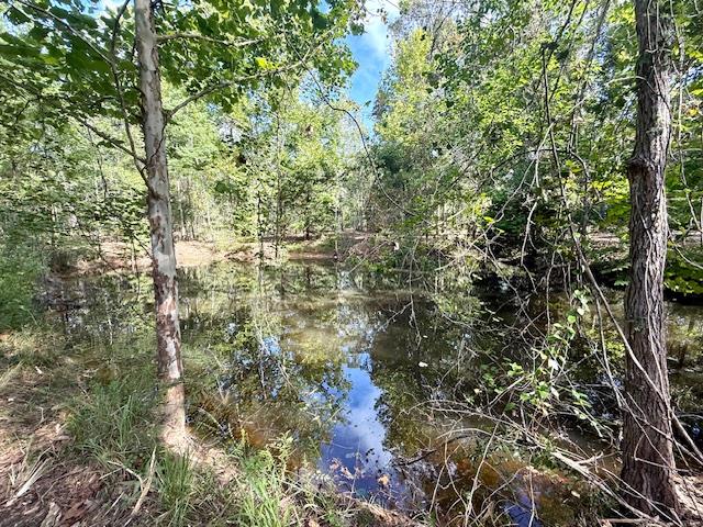 359 Mallard Property Photo 18