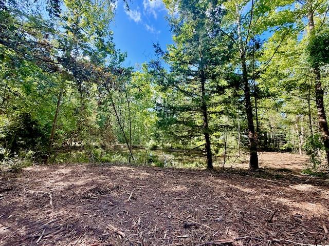 359 Mallard Property Photo 19