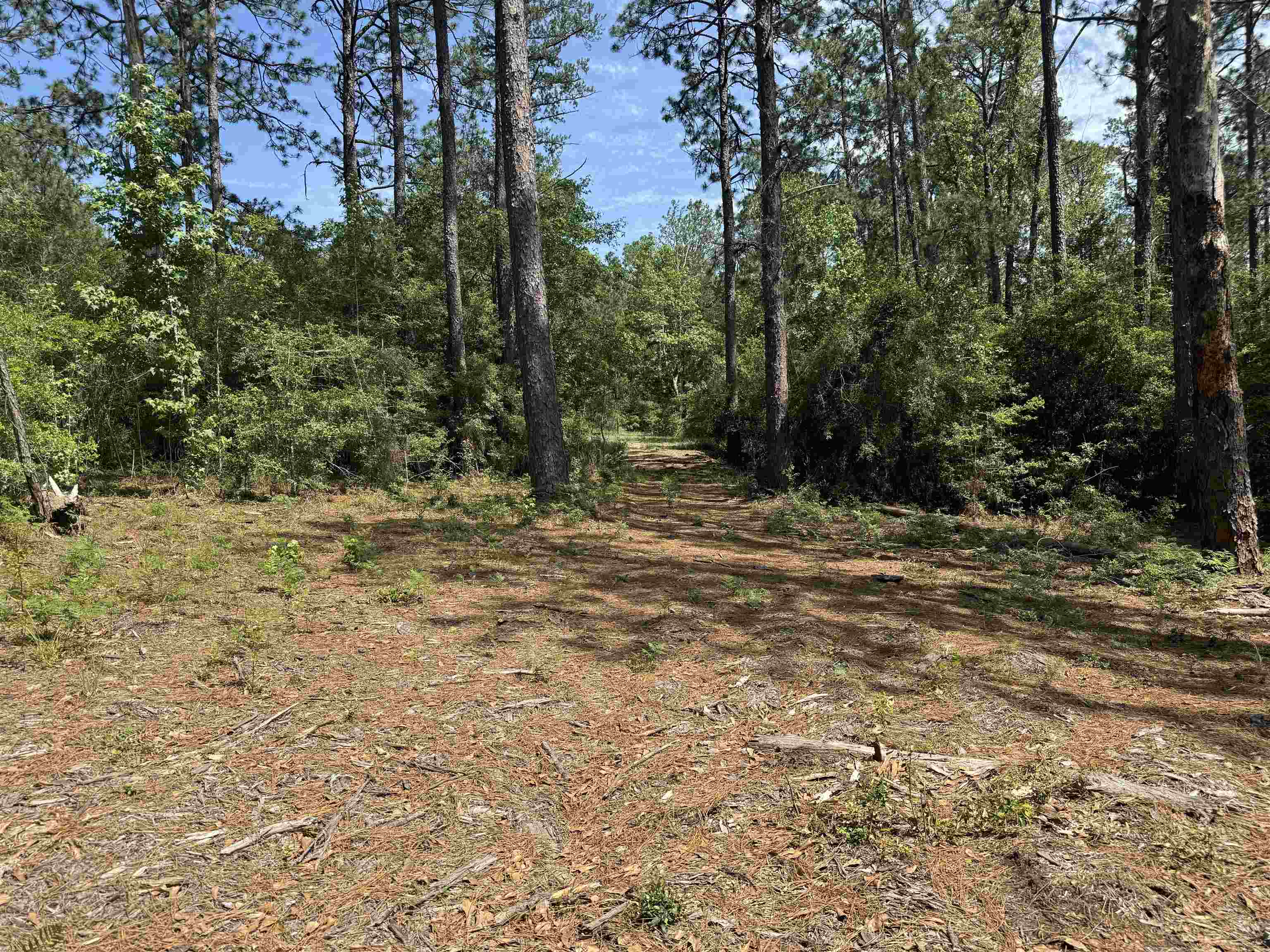 565 Sparkleberry Drive Property Photo 1