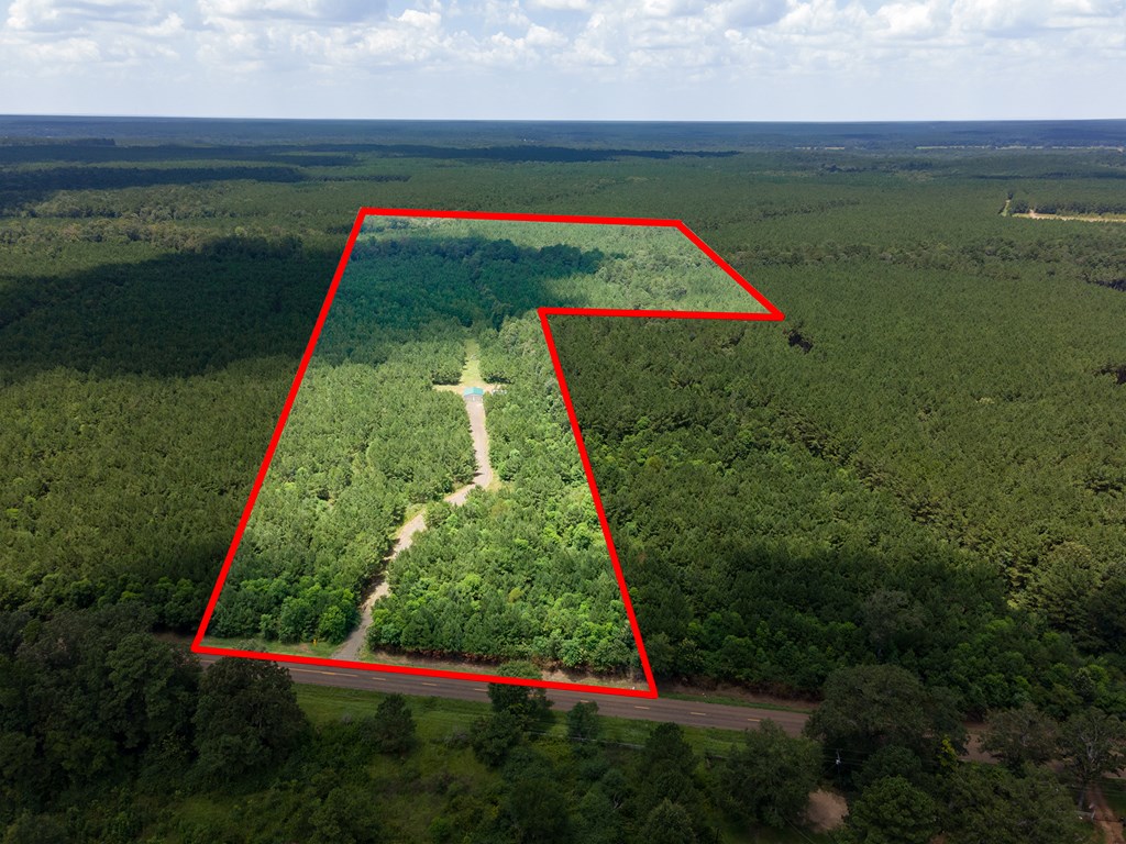 Parcel # 28356 Fm 1751 Property Photo 7