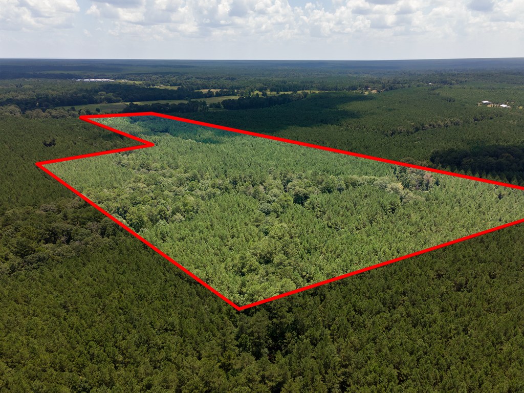 Parcel # 28356 Fm 1751 Property Photo 9
