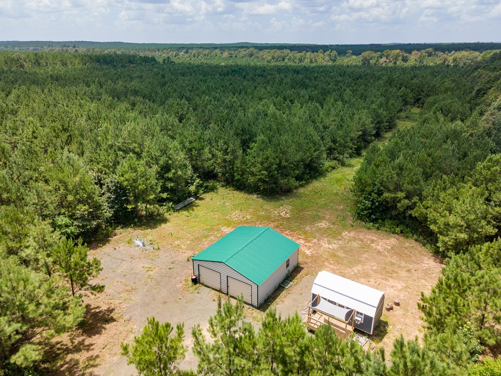 Parcel # 28356 Fm 1751 Property Photo 10
