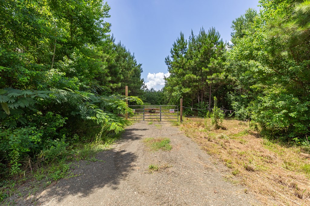 Parcel # 28356 Fm 1751 Property Photo 11