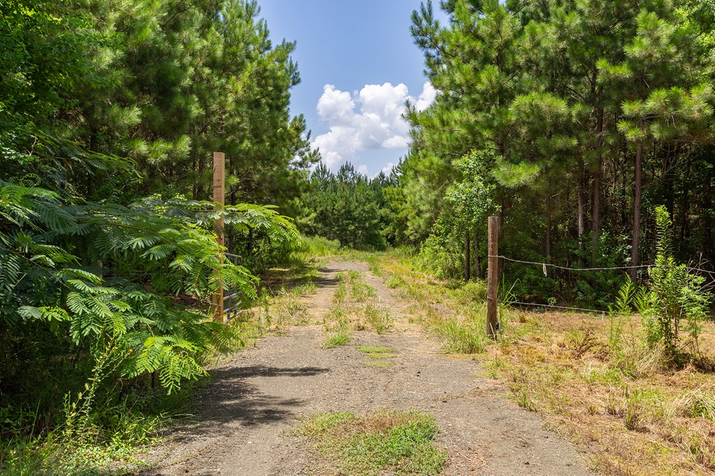 Parcel # 28356 Fm 1751 Property Photo 13