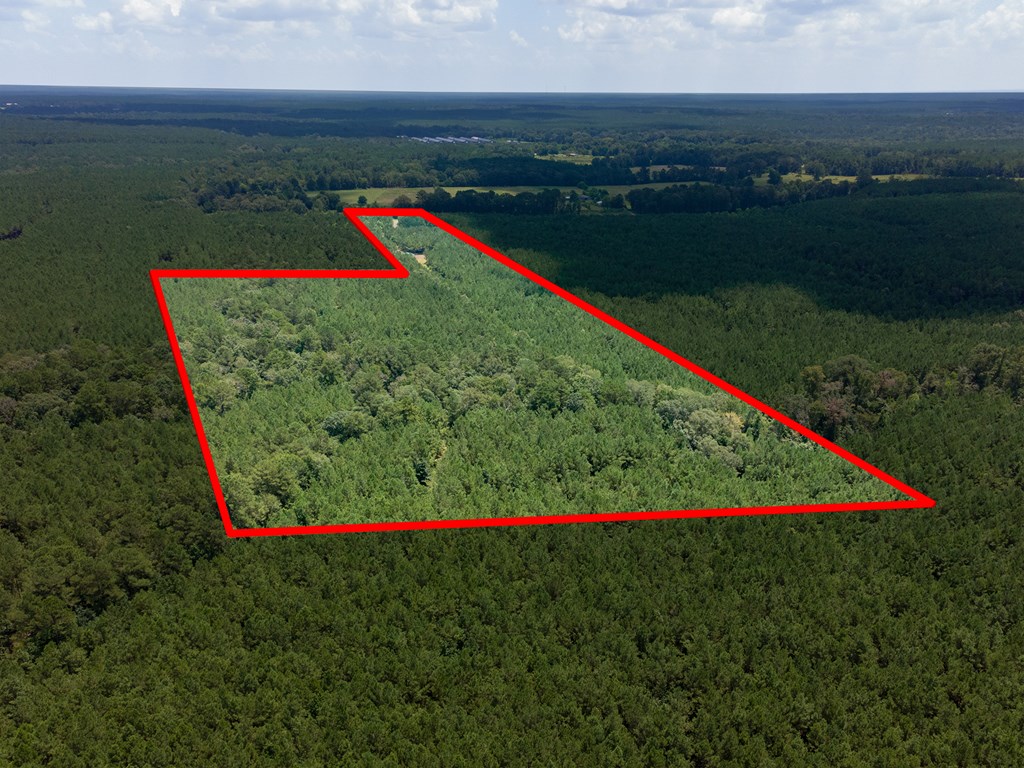 Parcel # 28356 Fm 1751 Property Photo 16
