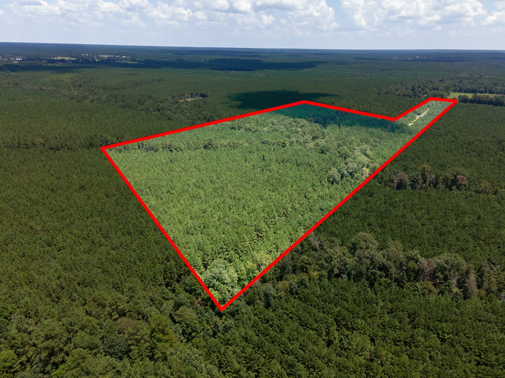 Parcel # 28356 Fm 1751 Property Photo 18