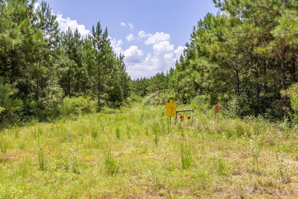 Parcel # 28356 Fm 1751 Property Photo 19