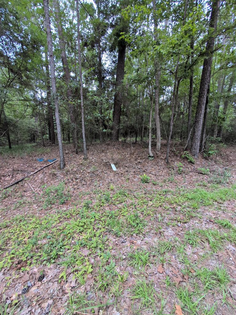 Pid33824 Amblewood Drive Property Photo 1