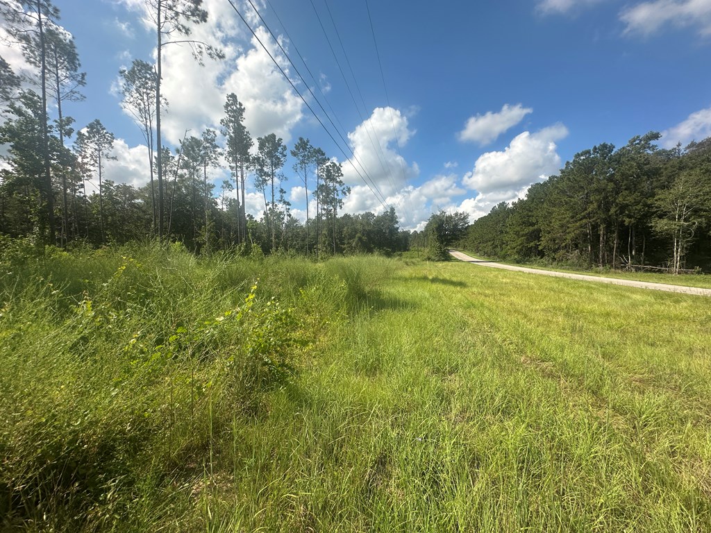 00 Fm 1005 Property Photo 4