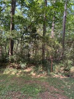 208 Ensign Drive Property Photo 1