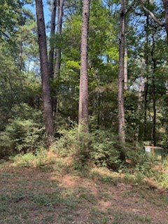 208 Ensign Drive Property Photo 4