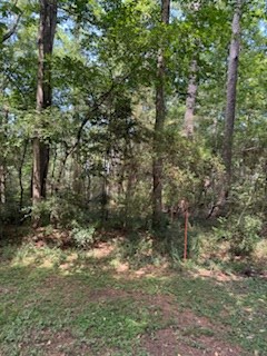222 Ensign Drive Property Photo 5