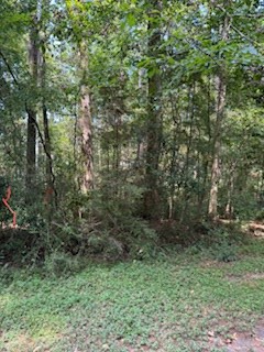 222 Ensign Drive Property Photo 6