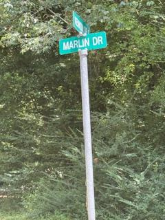 114 Marlin Drive Property Photo 1